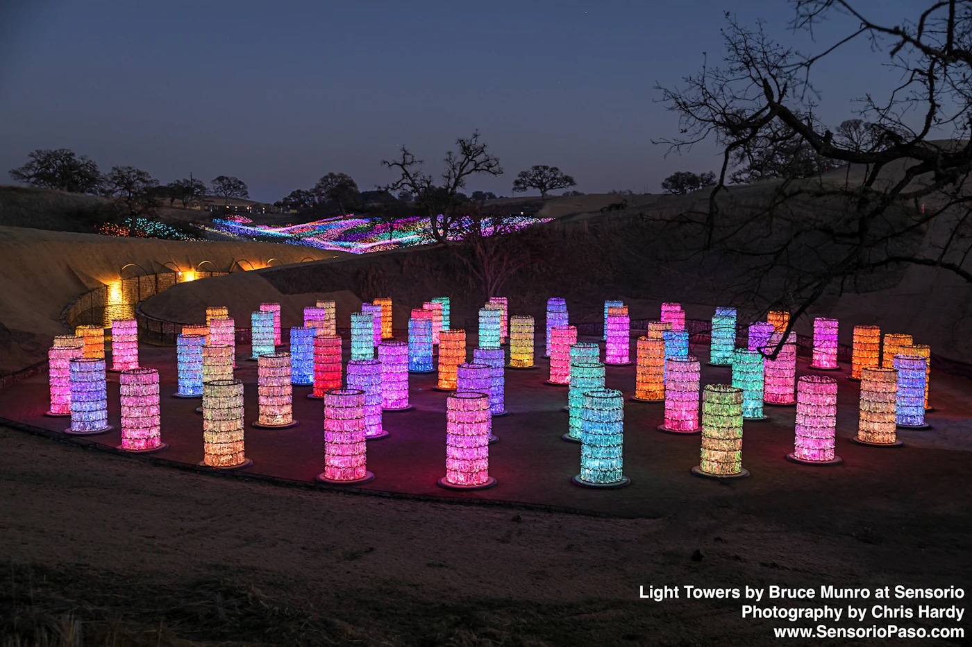 Alt Text: "Colorful light towers installation by Bruce Munro at Sensorio, lighting up the evening with a vibrant glow